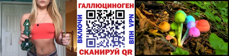 Галлюциногенные грибы Cubensis  Нелидово 